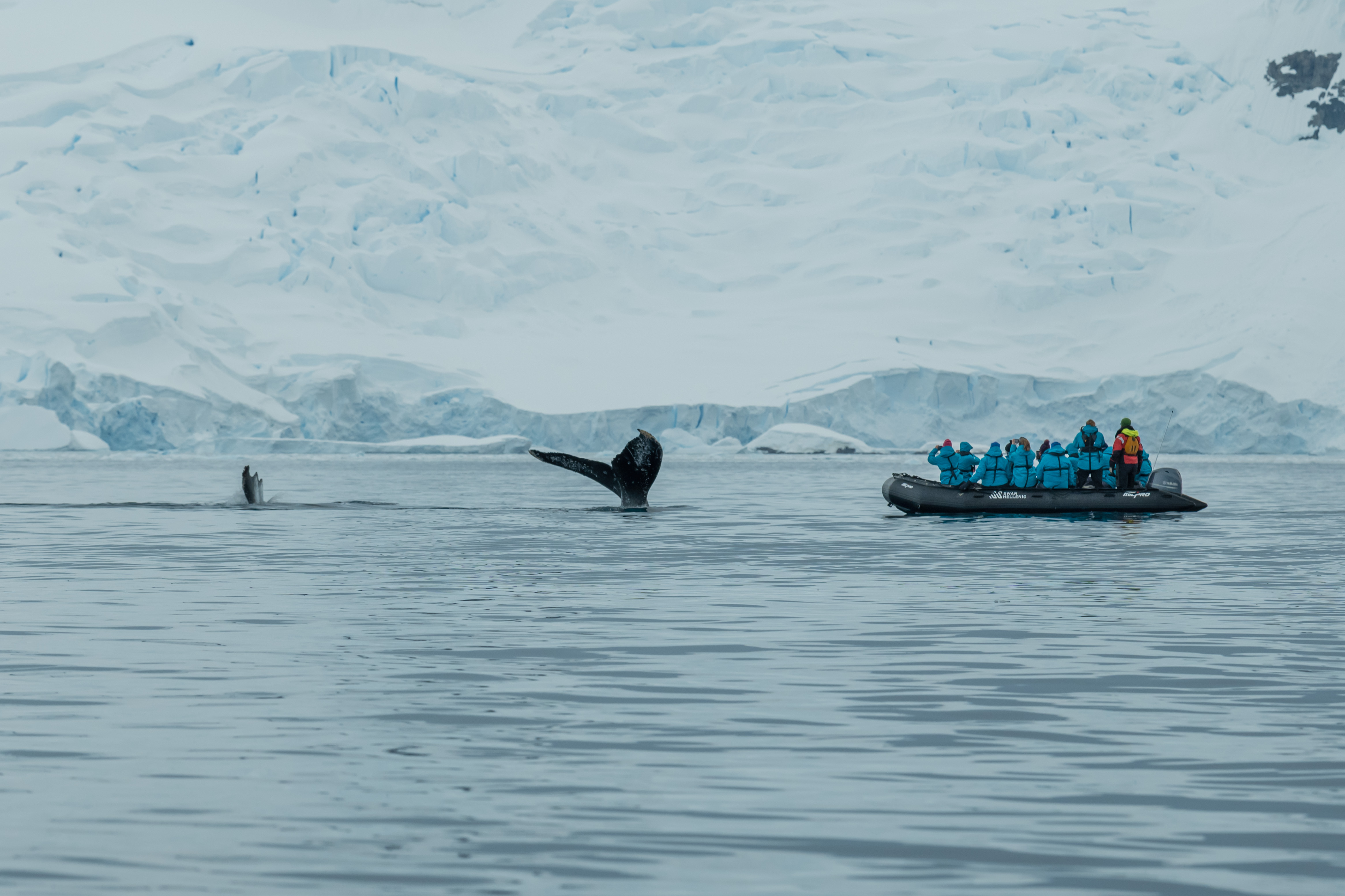 Excursions on SH Minerva